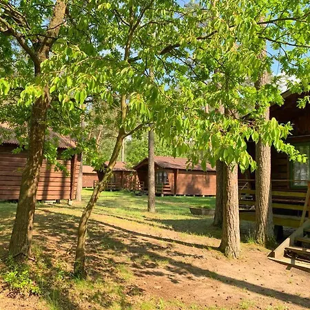 Sus Mazuria * Rybitwy (Pisz)