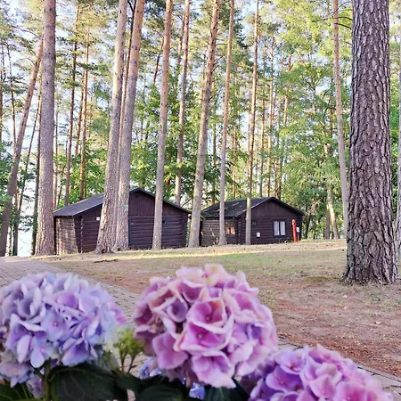 Sus Mazuria * Rybitwy (Pisz)