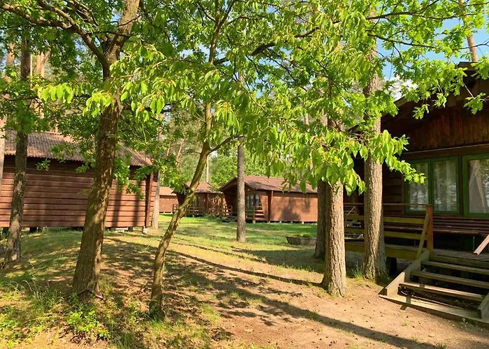 Sus Mazuria * Rybitwy (Pisz)