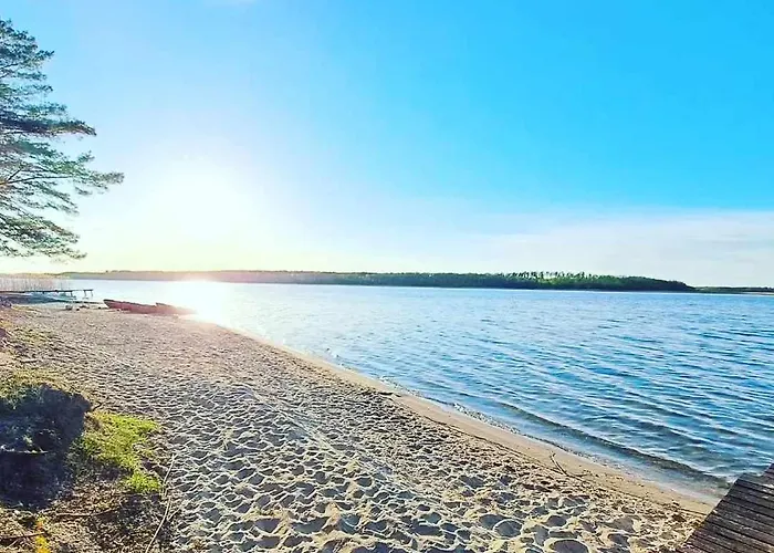 Sus Mazuria * Rybitwy (Pisz)