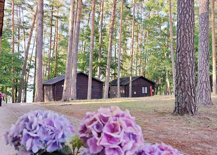 Sus Mazuria * Rybitwy (Pisz)